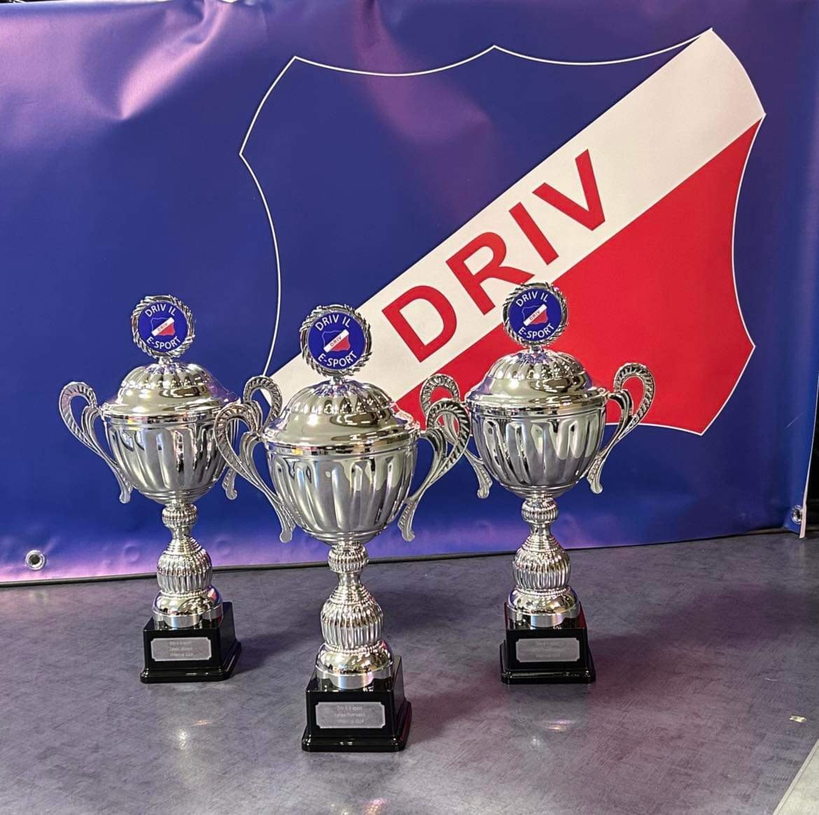 Driv IL E-sport Høstcup 2024